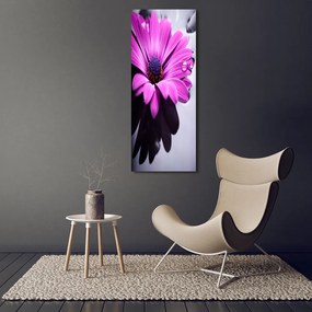Tablou canvas Gerbera roz
