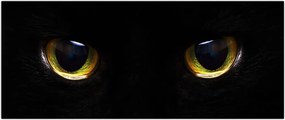 Tablou - Ochi de pisică (120x50 cm)