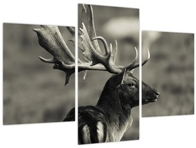 Tablou - Cerb (90x60 cm)