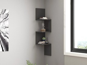 Raft Topike (antracit) . 1095803