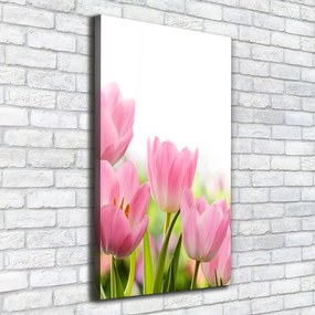Tablou canvas Lalele roz