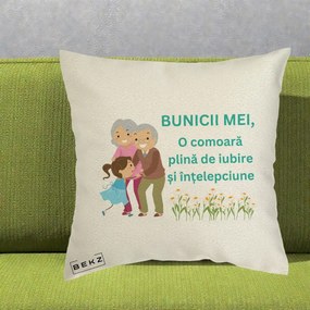 Cadou pentru Bunici - Perna Personalizata Bunicii Mei Comoara Iubire Intelepciune Nepoata, 40x40 cm, Ecru, Husa Detasabila, Perna Inclusa, BEKZ®