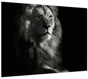 Tablou - Leu (70x50 cm)