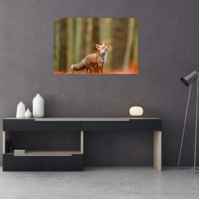 Tablou - Vulpe (90x60 cm)