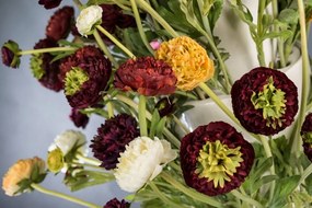 Aranjament floral, decor festiv design LUX, BABILON RANUNCOLO BIG 95cm, multicolor