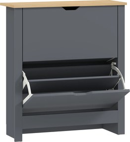 HOMCOM Dulap pentru 12 perechi de încălțăminte, dulap îngust cu 2 sertare rabatabile și rafturi reglabile, gri închis | Aosom Romania