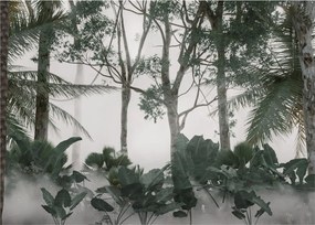 Tablou pe sticlă - Jungla în ceața dimineții (70x50 cm)