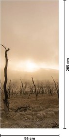 Fototapet pentru ușă - Copacii goi (95x205cm)