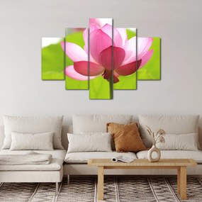 Tablou cu flori de lotus (150x105 cm)