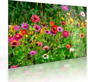 Tablou pe sticlă cu flori de luncă (70x50 cm)