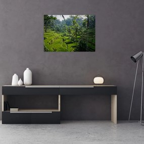 Tablou pe sticlă cu terasele cu orez Tegalalang, Bali (70x50 cm)