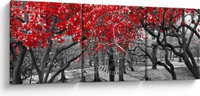 Tablou - Copaci roșii, Central Park, New York (cu ceas) (90x30 cm)