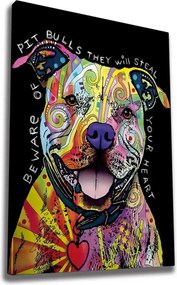 Tablou WY163, multicolor, panza, 70x100 cm