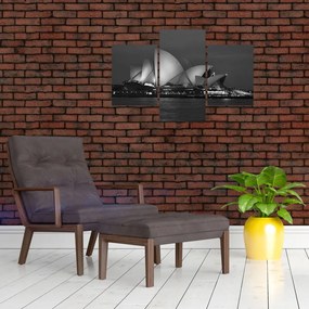 Tablou cu Opera din Sydney (90x60 cm)