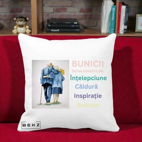 Cadou pentru Bunici - Perna Personalizata Bunicii Sursa Intelepciune Caldura Acuarela, 40x40 cm, Alba Mata, Husa Detasabila, Perna Inclusa, BEKZ®