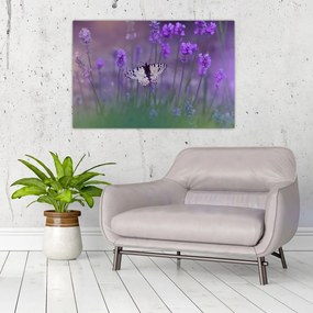 Tablou - fluture în lavandă (90x60 cm)