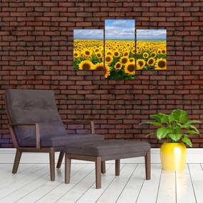 Tablou cu lan de floarea soarelui (90x60 cm)
