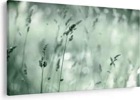 Tablou - Pajiște verde (90x60 cm)