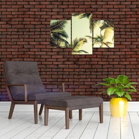 Tablou - Palmieri de cocos (90x60 cm)