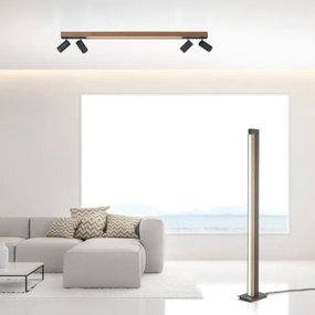 Spot LED dimabil Paul Neuhaus 6121-79 PURE 4xLED/4W/230V + LED/9W + telecomandă