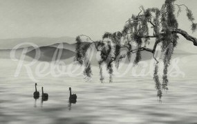 Fototapet, Zen Lake, Rebel Walls