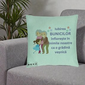 Cadou pentru Bunici - Perna Personalizata Bunicii Iubirea Infloreste Bunici cu Nepoata Colorat, 40x40 cm, Verde Menta, Husa Detasabila, Perna Inclusa, BEKZ®