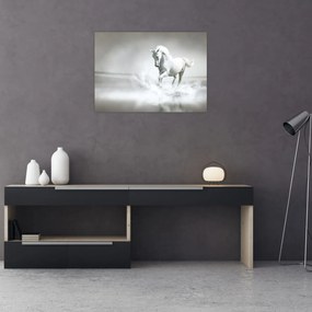 Tablou - Cal alb (70x50 cm)