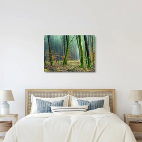 Tablou pe sticlă cu pădure (70x50 cm)