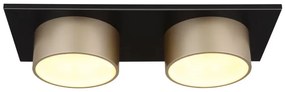 Plafoniera LED negru sampanie RAYMOND 2L