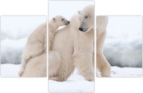 Tablou - Urs polar (90x60 cm)