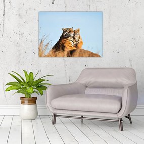 Tablou pe sticlă - Tigroaica cu pui (70x50 cm)