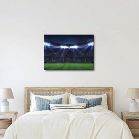 Tablou - Stadion de fotbal (70x50 cm)