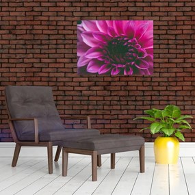 Tablou pe sticlă cu floarea roz (70x50 cm)