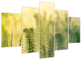 Tablou - Detaliu de primăvară natura cețoasă (150x105 cm)