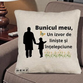 Cadou pentru Bunic - Perna Personalizata Bunicul Meu Izvor de Liniste cu Fluture si Baietel, 40x40 cm, Bej Canapea, Husa Detasabila, Perna Inclusa, BEKZ®