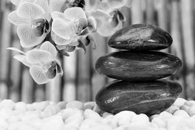 Fototapet grădină Zen japoneză în alb-negru