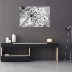 Tablou - Floare în timpul iernii (90x60 cm)