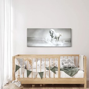 Tablou - Cal alb (120x50 cm)