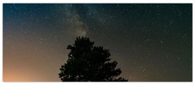 Tablou cu cerul nocturn și copaci (120x50 cm)
