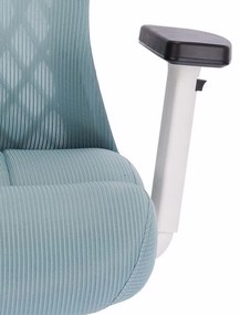 Scaun rotativ ergonomic de birou Ergomax, patină