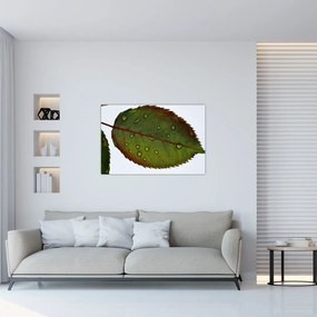 Tablou - Frunze de trandafir (90x60 cm)