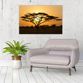 Tablou - Savana africană (90x60 cm)
