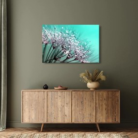 Tablou - planta cu rouă (90x60 cm)