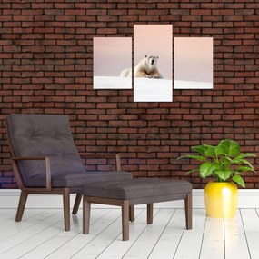 Tablou - Urs polar (90x60 cm)