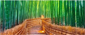 Tablou - Pădure de bambus japoneză (120x50 cm)