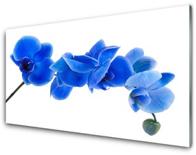 Tablou pe sticla Flower Floral Albastru