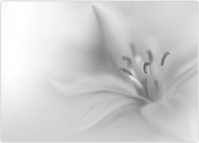 Tablou - Crin delicat (70x50 cm)