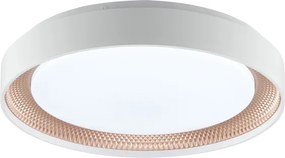 Brilliant - Plafonieră LED dimabilă WALDO LED/24W/230V alb/aur roz + telecomandă