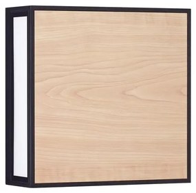 Aplica de perete LED iluminat exterior decorativ IP65 ASTRAL