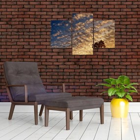 Tablou - Palmieri între nori (90x60 cm)